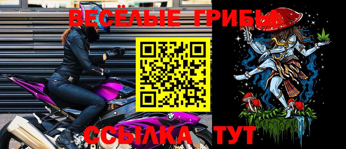 Псилоцибиновые грибы мухоморы Лесосибирск