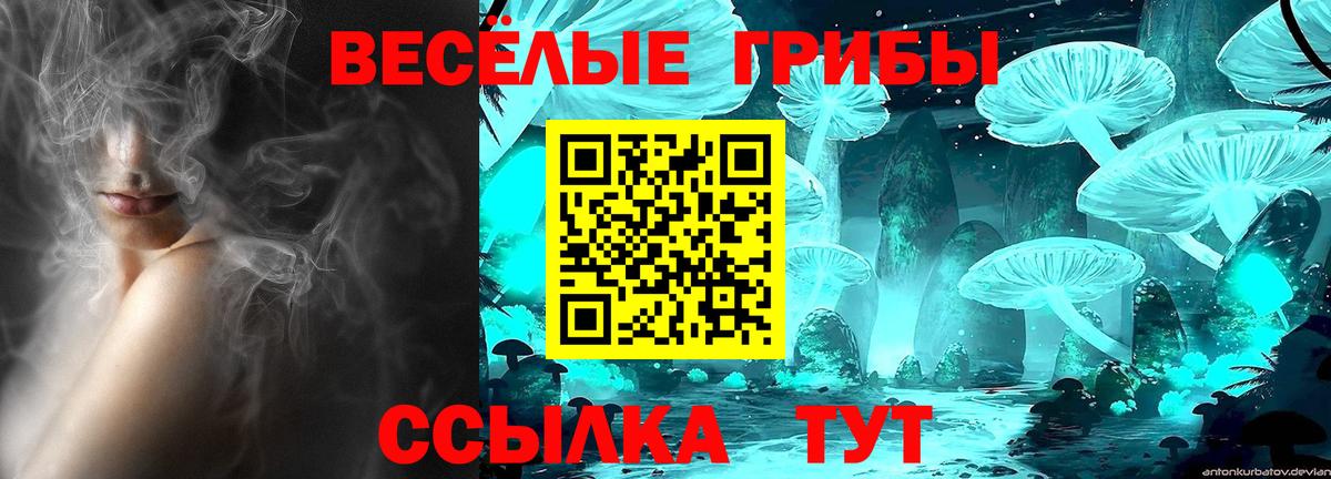 Лесосибирск  Галлюциногенные грибы Psilocybe  Псилоцибиновые грибы ЛСД  Вход с VPN 